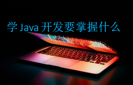 學Java開發要掌握什么