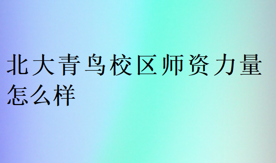 北大青鳥校區師資力量怎么樣