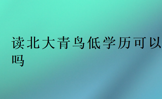 讀北大青鳥低學歷可以嗎