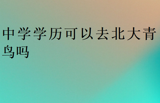 中學學歷可以去北大青鳥嗎